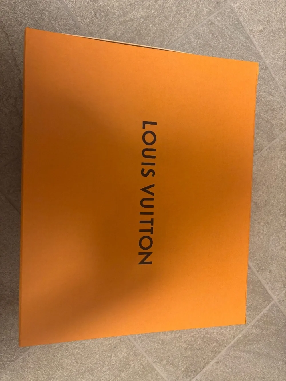 Luis Vuitton handbag